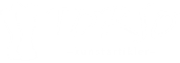 Torso Kunstartikler