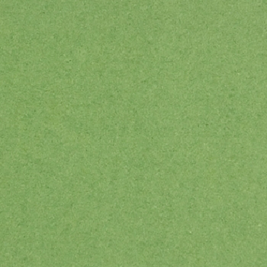 2250013.jpg