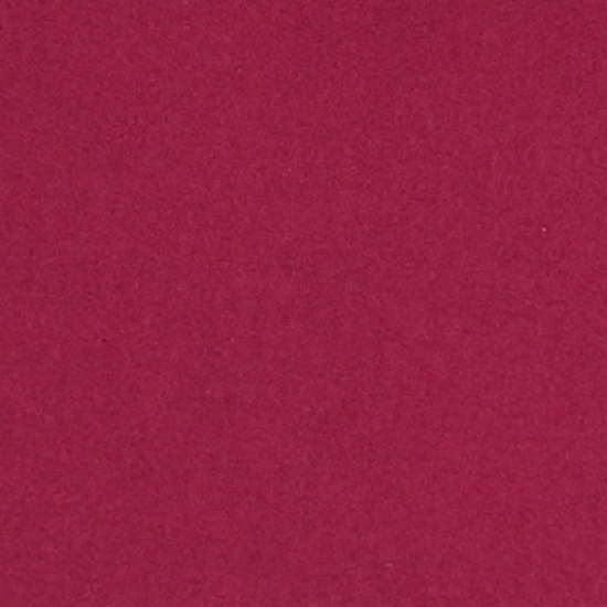 2251005.jpg