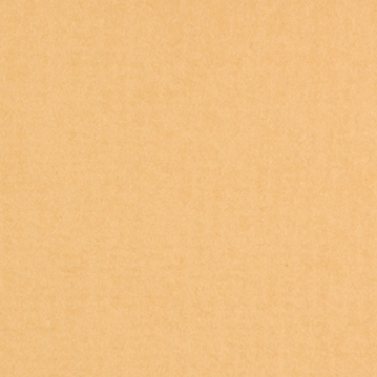 2251019.jpg