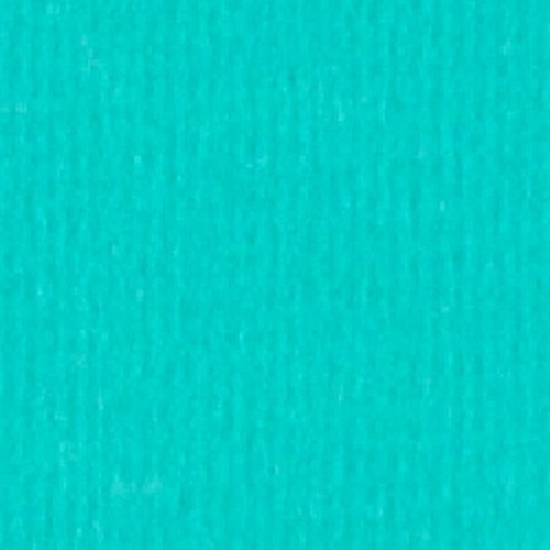 2251034.jpg