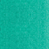 8026692.jpg