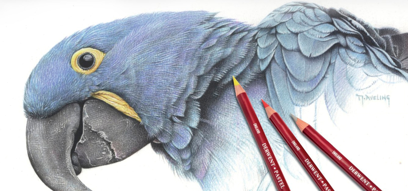 Derwent Pastel Pencils