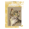 Bok Animals N.13